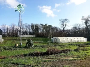 Champs de la ferme maraîchère bio à quistinic