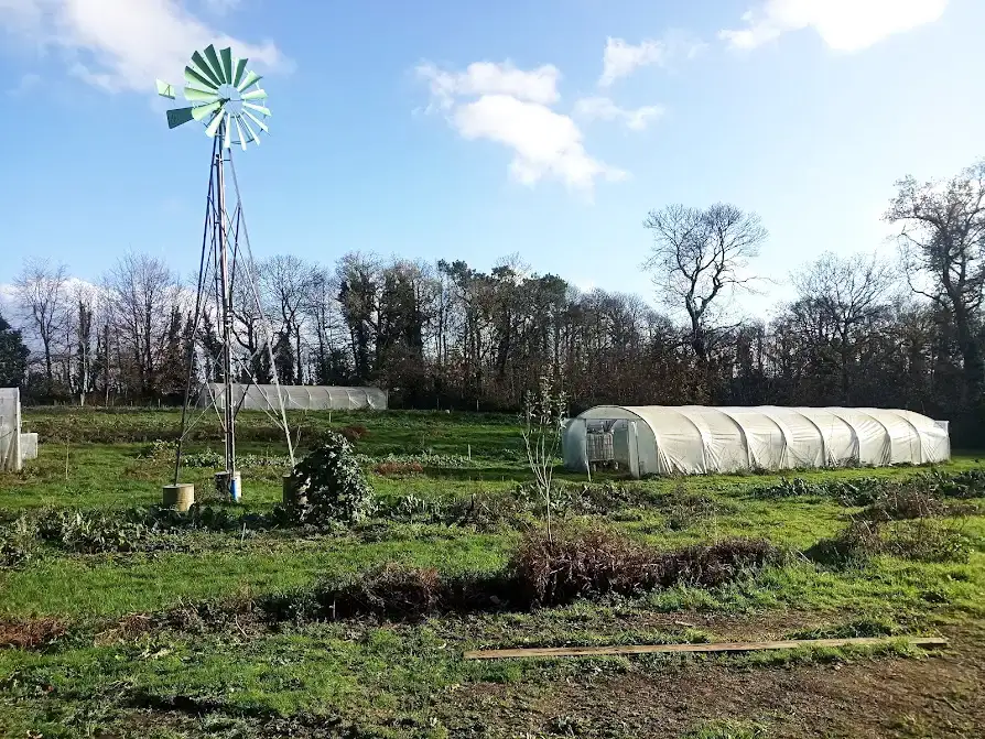 Champs de la ferme maraîchère bio à quistinic