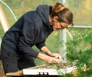 Plantation cultures de la ferme maraîchère bio à quistinic