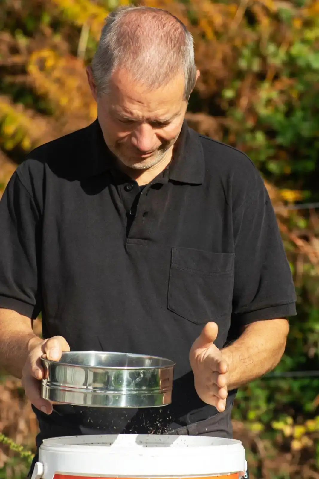 Trie semenses de la ferme maraîchère bio à quistinic