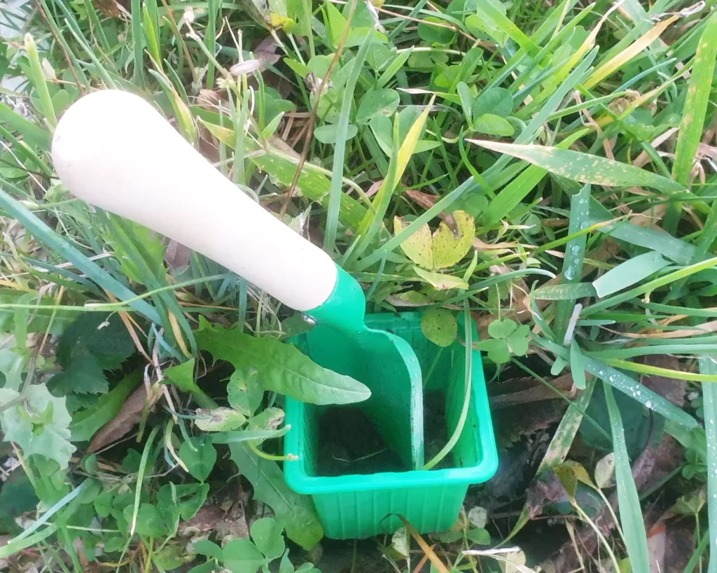 Atelier tous au jardin à quistinic