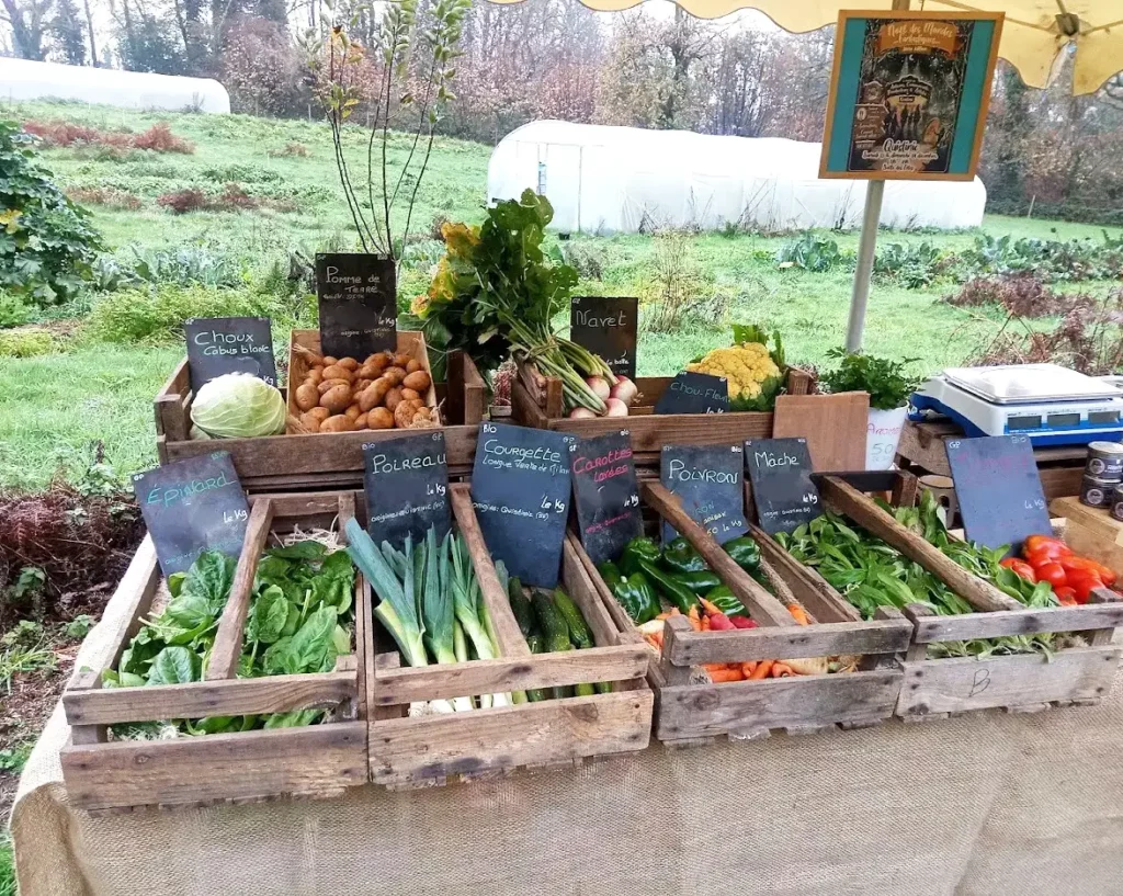 Production de légumes bio à la ferme maraîchère