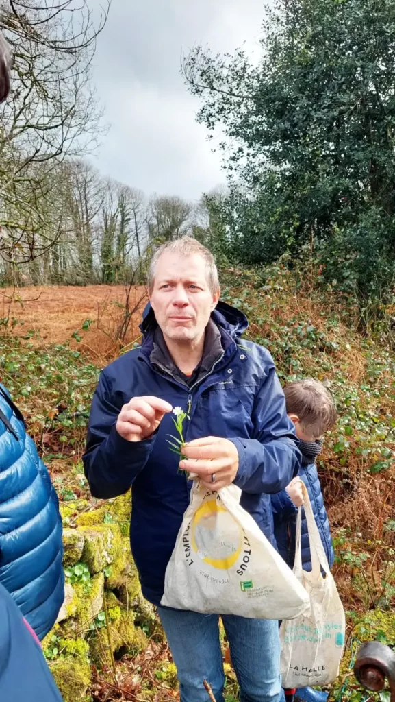 balade découverte des plantes sauvage à quistinic