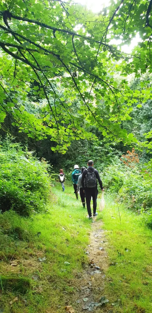 balade découverte des plantes sauvage à quistinic