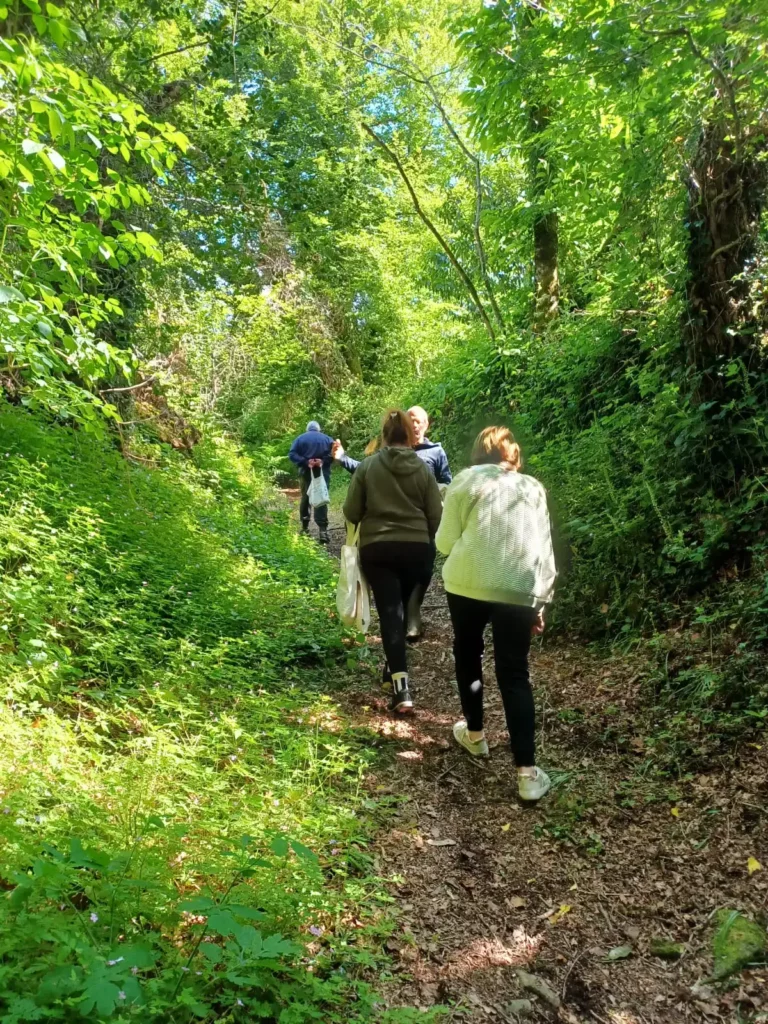 balade découverte des plantes sauvage à quistinic
